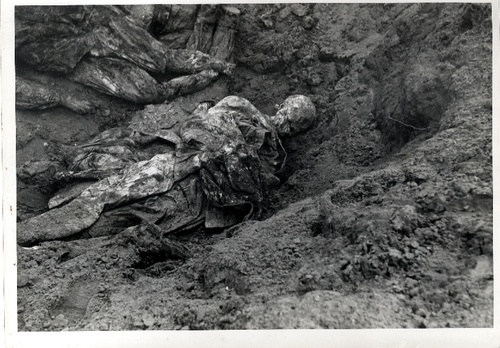 Zdjęcie z pierwszej ekshumacji dokonanej przez Niemców zdj. nr 6. Źródło IPN